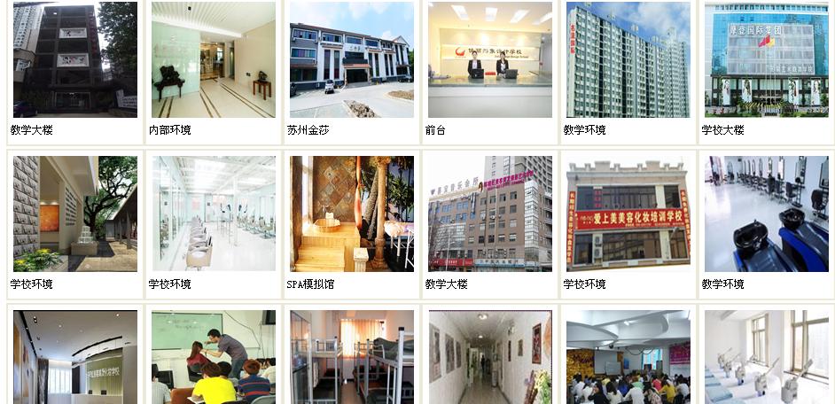 �й�ְҵ��ѵ��